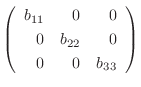 $\displaystyle \left(\begin{array}{rrr}
b_{11}&0&0\\
0&b_{22}&0\\
0&0&b_{33}
\end{array}\right ) $