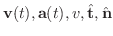 ${\bf v}(t),{\bf a}(t),v,\hat{\bf t},\hat{\bf n}$