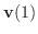 $\displaystyle {\bf v}(1)$