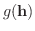 $g({\bf h})$