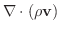 $\displaystyle \nabla \cdot (\rho {\bf v}) $