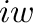 $\displaystyle iw$