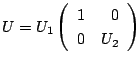 $ U = U_{1}\left(\begin{array}{rr}
1&0\\
0&U_{2}
\end{array}\right) $
