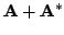 $\displaystyle {\bf A} + {\bf A^{*}}$