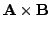 $\displaystyle {\bf A} \times {\bf B}$