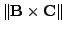 $ \Vert{\bf B} \times {\bf C}\Vert$