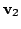 $\displaystyle {\bf v}_{2}$
