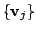 $ \{{\bf v}_{j}\}$