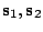 $ {\bf s}_{1},{\bf s}_{2}$