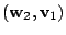 $\displaystyle ({\bf w}_{2},{\bf v}_{1})$