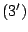 $ (3^{\prime})$