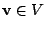 $ {\bf v} \in V$