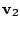 $ {\bf v}_{2}$