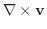 $\displaystyle \nabla \times \textbf{v}$